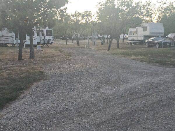A gravel road runs between RVs and cars parked among trees in a campground during early morning or late afternoon light.