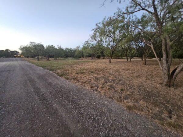 A gravel road runs next to a grassy area with scattered trees under a clear sky at dusk. The scene is peaceful with fading daylight and sparse vegetation.