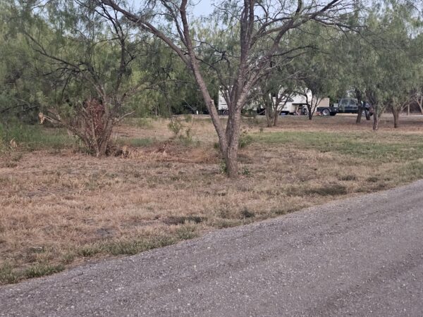 A gravel road curves alongside dry grass and trees. In the background, cars and an RV are partially visible among the trees.