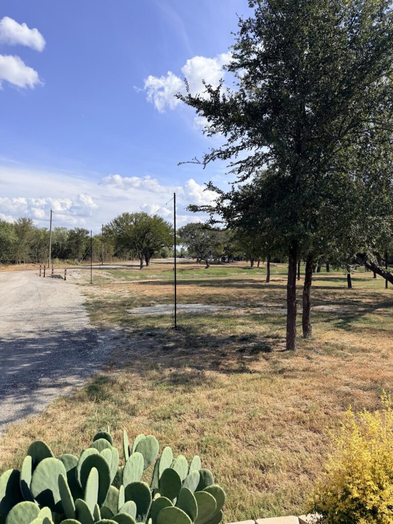 A sunny outdoor scene with a gravel road curving through a grassy area, scattered trees, cactus in the foreground, and a bright blue sky with scattered clouds.