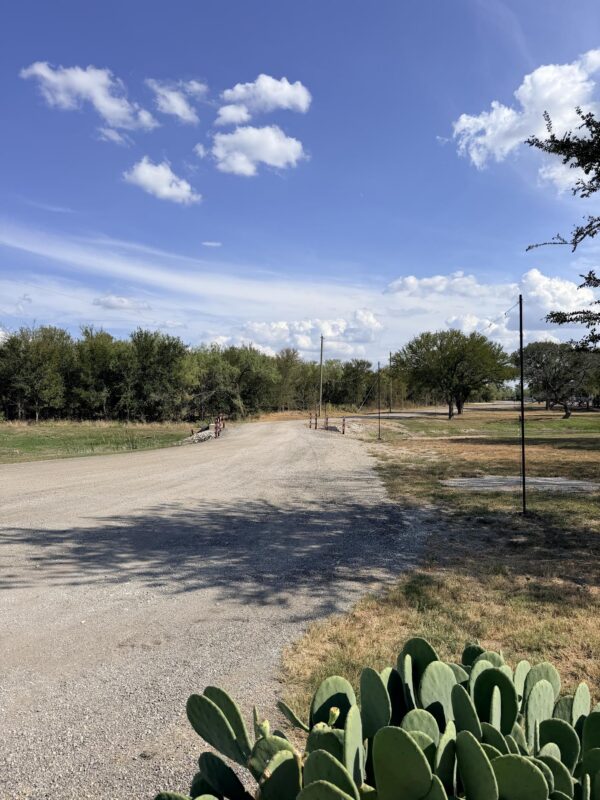 A gravel road leads into a rural area with trees lining both sides. A few clouds dot the blue sky, and cactus plants are visible in the foreground.